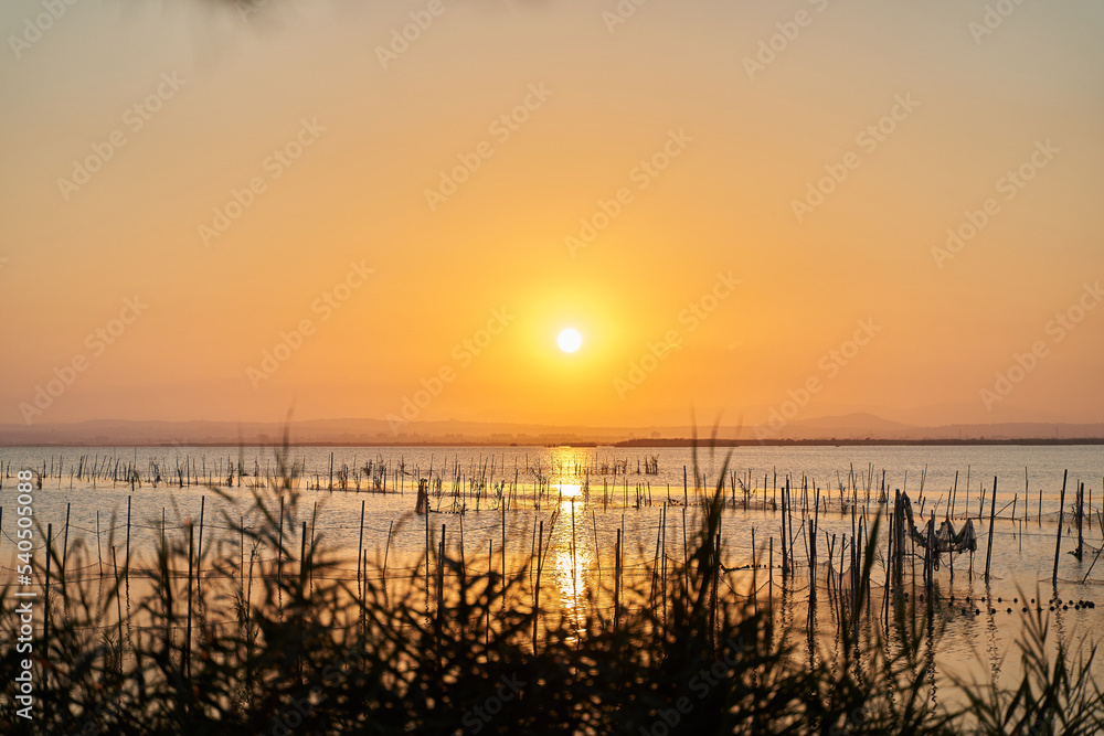 Sunset by the Albufera lake in valencia Sunset by the Albufera lake in valencia