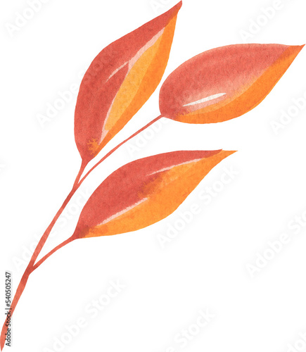 Watercolor Autumn Leaf Branch photo