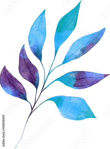 Blue Dainty Watercolor Leaf