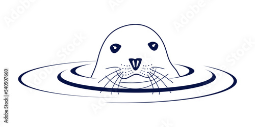 Cute seals on the water minimal design. Seal animal isolated concept. Sea animal vector linear illustration