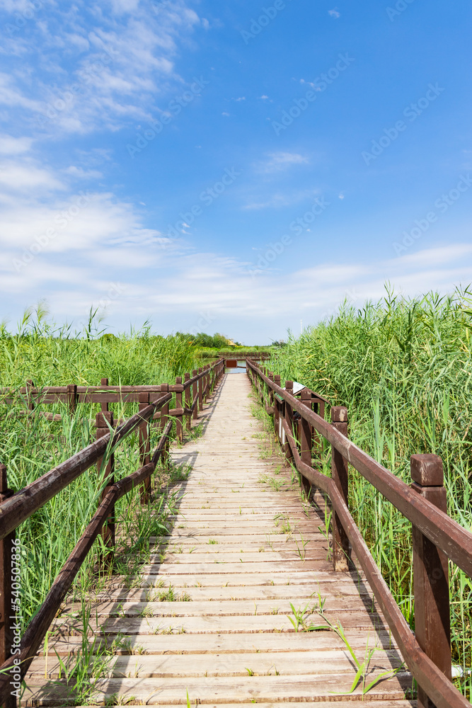 Wooden trestle in the lake of Xiqing Country Park in Tianjin