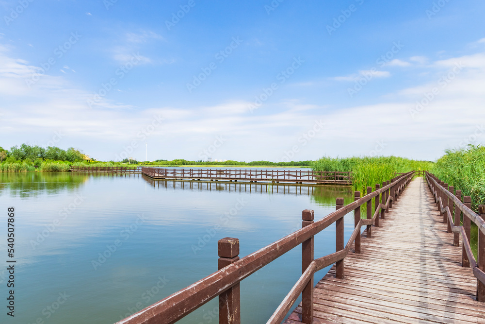 Wooden trestle in the lake of Xiqing Country Park in Tianjin