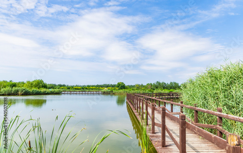 Wooden trestle in the lake of Xiqing Country Park in Tianjin photo