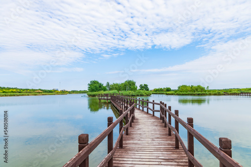 Wooden trestle in the lake of Xiqing Country Park in Tianjin © 大 李