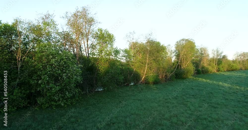 Moving towards a wooded strip on a river bank on an early spring morning in Estonia, Northern Europe Moving towards a wooded strip on a river bank on an early spring morning in Estonia, Northern Europe