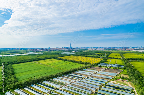 Aerial photo of greenhouses plantation in Xiqing Country Park, Tianjin photo