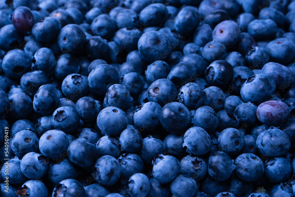 Fresh blueberry background. Texture blueberry berries close up. Fresh blueberry background. Texture blueberry berries close up.