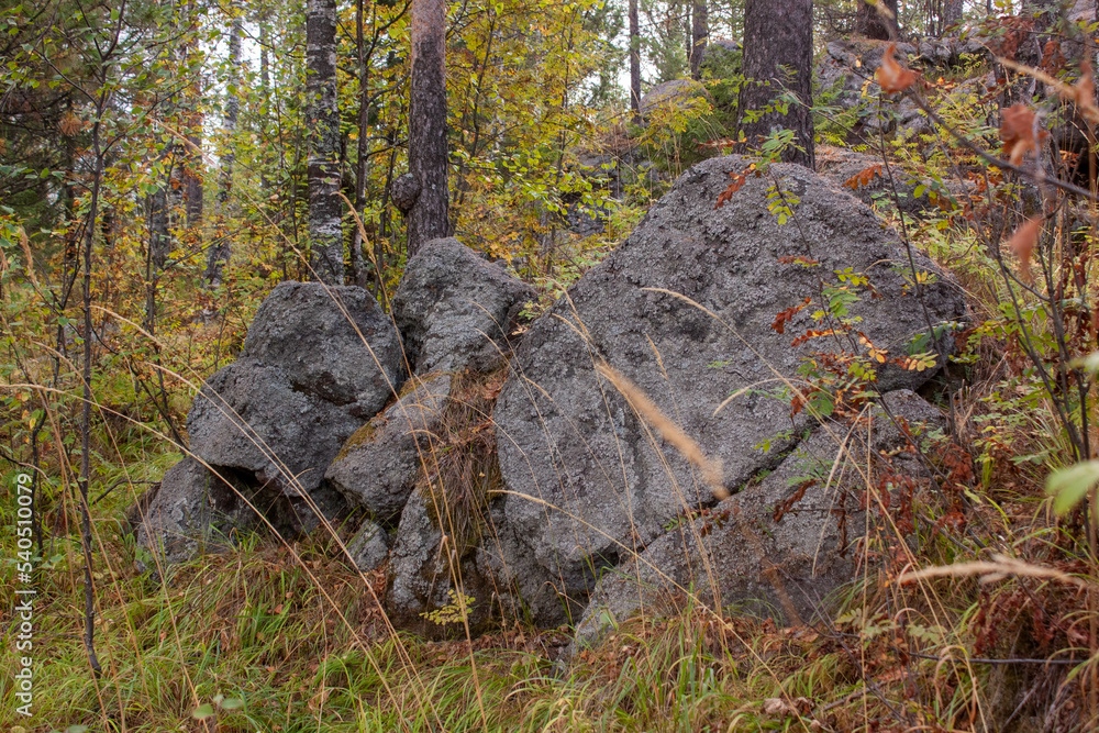 Obraz premium stone on the hillock of Mount Sinyaya, Baranchinsky, September 2022