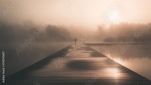 Samotna we mgle © photoemka