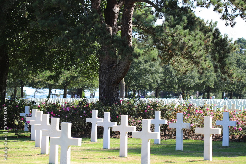 Obraz premium Cimetière Américain Colleville