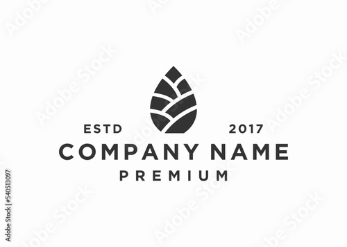 pinecone logo design vector illustration template