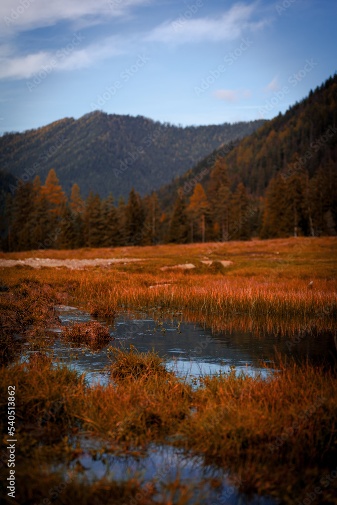 autumn in the mountains