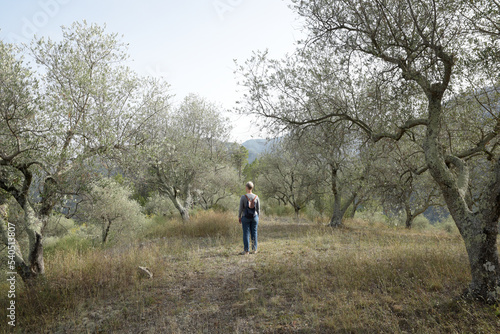 femme seule au milieu des oliviers en fin de journée © DOMINIQUE MARIOTTI
