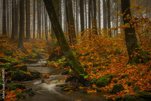 Fototapeta Naklejka Na Ścianę i Meble -  Rousinovsky creek with waterfalls in Luzicke mountains in color autumn day