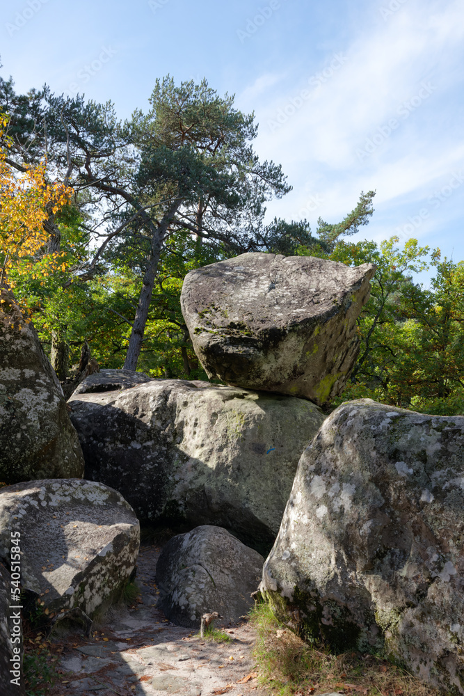Boulder and sandstone rock in the Apremont rock. Fontainebleau forest