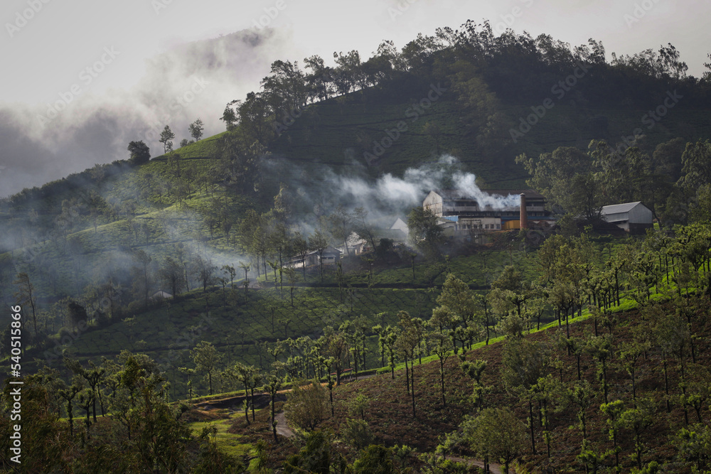 Fototapeta premium landscape with fog