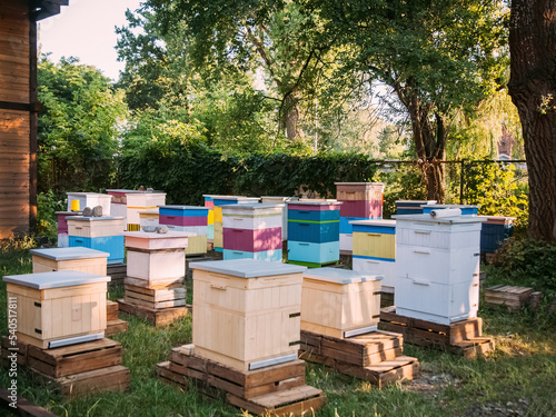 Countryside apiary. Apiculture village. Natural honey. Colorful wooden beekeeping colony in sunny daylight garden outdoor.