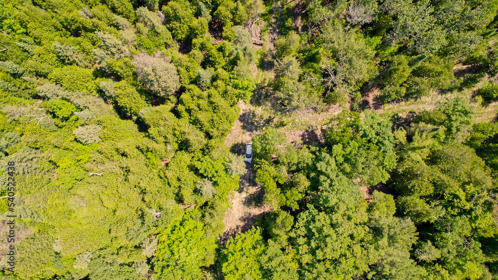 Aerial overhead of the car driving off road at green forest rural countryside with trees at summer. Mountain forest road with single car in the wilderness. Adventure and vacation.