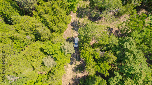 Aerial overhead of the car driving off road at green forest rural countryside with trees at summer. Mountain forest road with single car in the wilderness. Adventure and vacation.