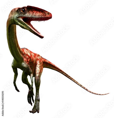 Coelophysis from the Triassic era 3D illustration	 photo