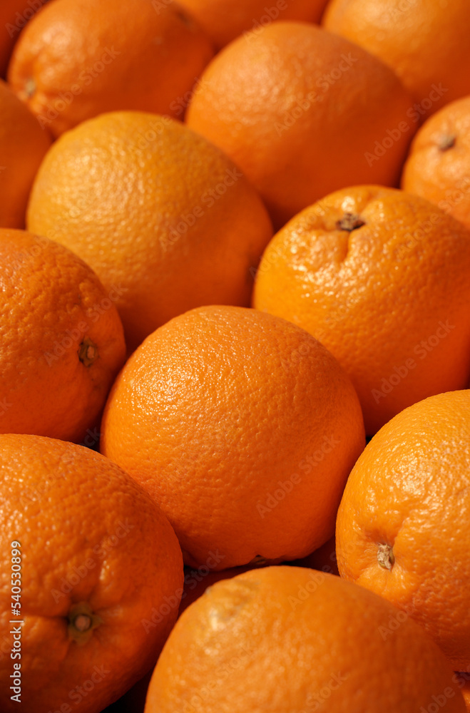 picked fresh oranges. background of ripe citrus fruits, food texture. picked fresh oranges. background of ripe citrus fruits, food texture.