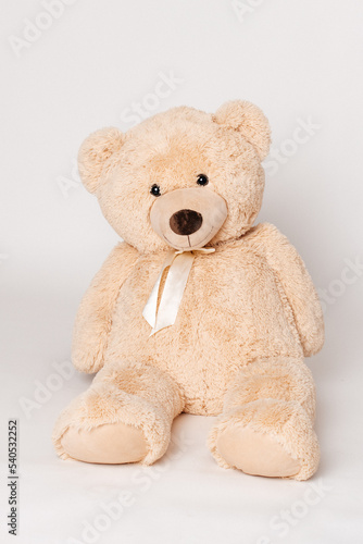 teddy bear on white background 