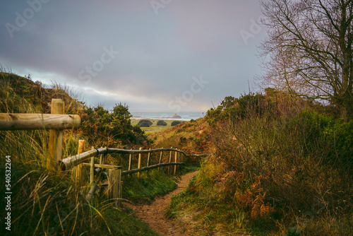 Fototapeta Naklejka Na Ścianę i Meble -  A beautiful path that leads through sand dunes in western Jersey backing the southern end of St Ouen's Bay