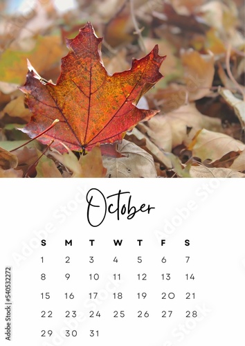 The month of october in the 2023 calendar with a autumn photo. Author's calendar for 2023 by month.