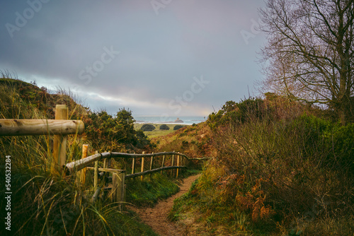A beautiful path that leads through sand dunes in western Jersey backing the southern end of St Ouen's Bay