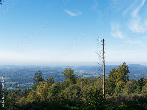 Hotzenwald im Südschwarzwald. Entlang Holzenpfad. Wunderbares Panorama über das Rheinthal