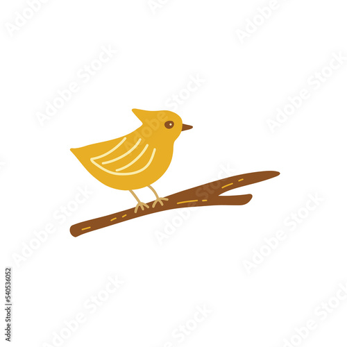 Cute yellow bird is sitting on a branch. Colorful vector isolated illustration in doodle hand drawn
