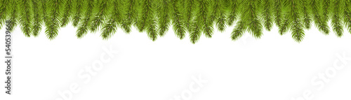 Fir Tree Border With White Background