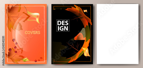 Set of abstract covers with autumn motifs