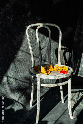 shebby chic stool and autumn leaves  photo