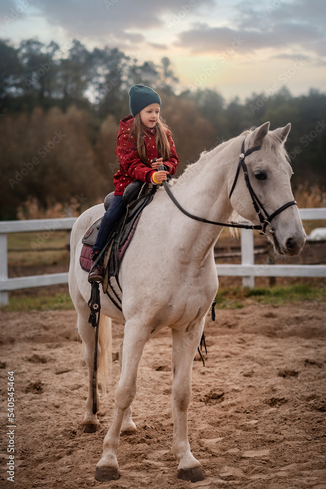 child riding a white horse