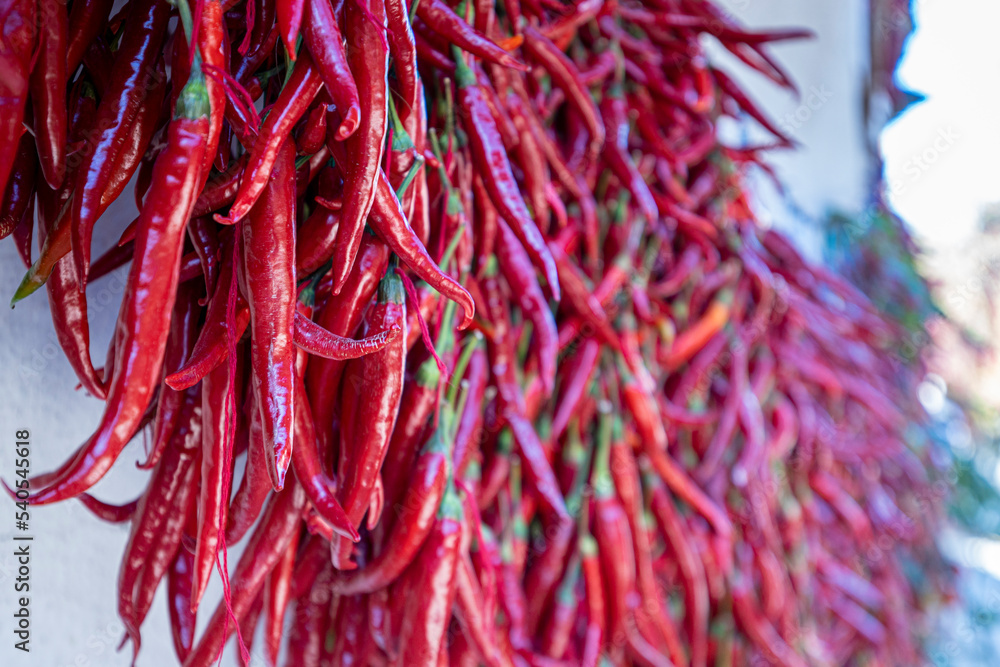 Fototapeta premium Garlands of paprika in the sunlight. Red peppers hung on the wall of the house to dry