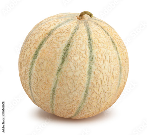cantaloupe melon path isolated on white