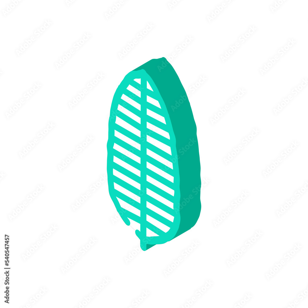 banana tropical leaf isometric icon vector. banana tropical leaf sign. isolated symbol illustration banana tropical leaf isometric icon vector. banana tropical leaf sign. isolated symbol illustration