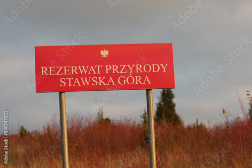 Rezerwat przyrody Stawska Góra, okolice Chełma w Polsce.