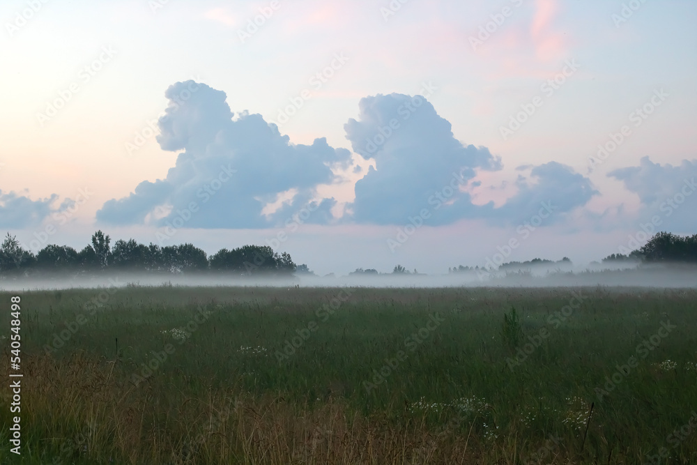 Thick fog in a field at sunset