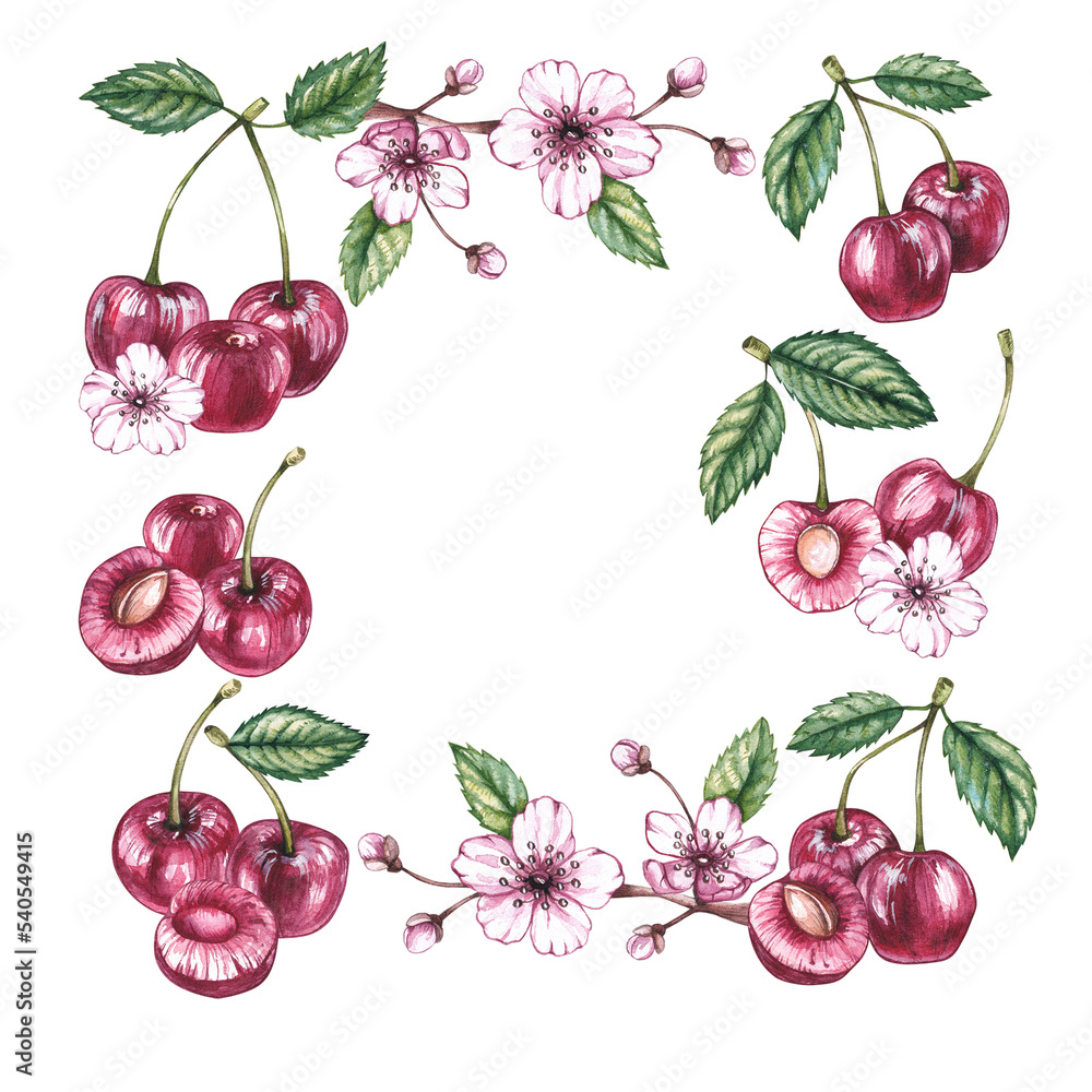Watercolor cherry frame on a white background Watercolor cherry frame on a white background