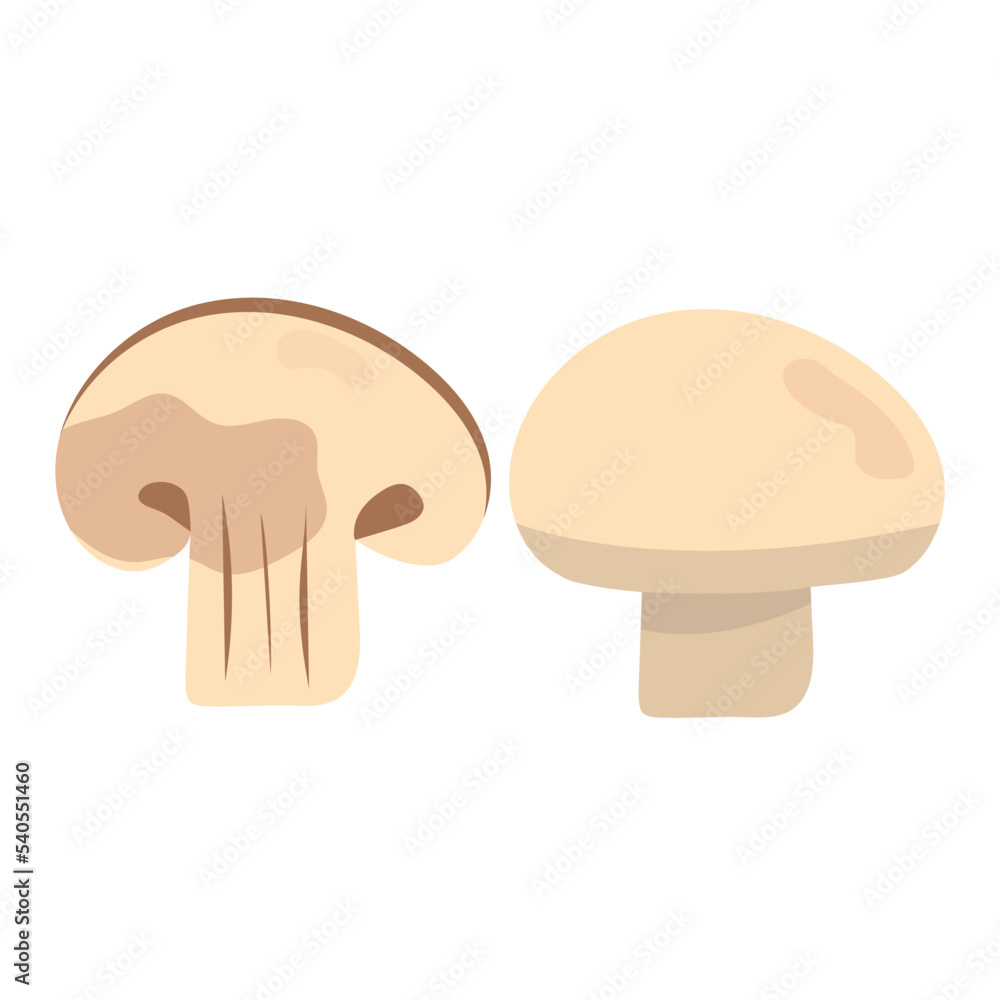 champignon mushrooms pieces vector champignon mushrooms pieces vector