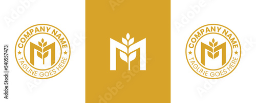 Initial Letter M Wheat Logo Concept symbol sign icon Element Design. Grain Logotype. Vector illustration template