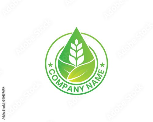  Wheat Leaf and Water Drop Logo Stamp Badge Concept symbol sign icon Element Design. Droplet, Agriculture, Bakery, Grain Logotype. Vector illustration template
