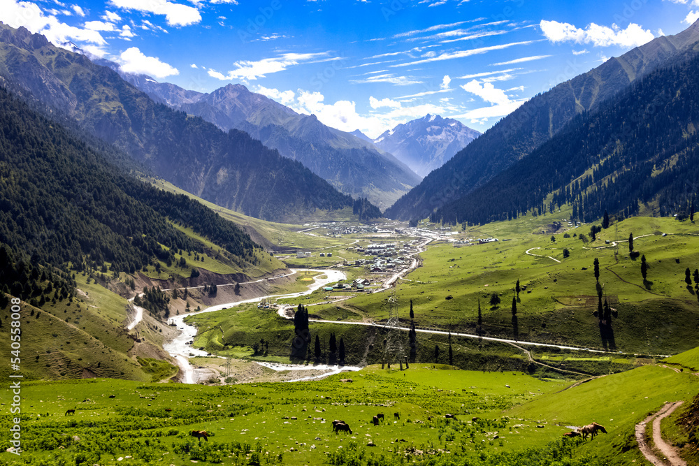Beautiful Kashmir Landscape. Lush green meadows and mountains of