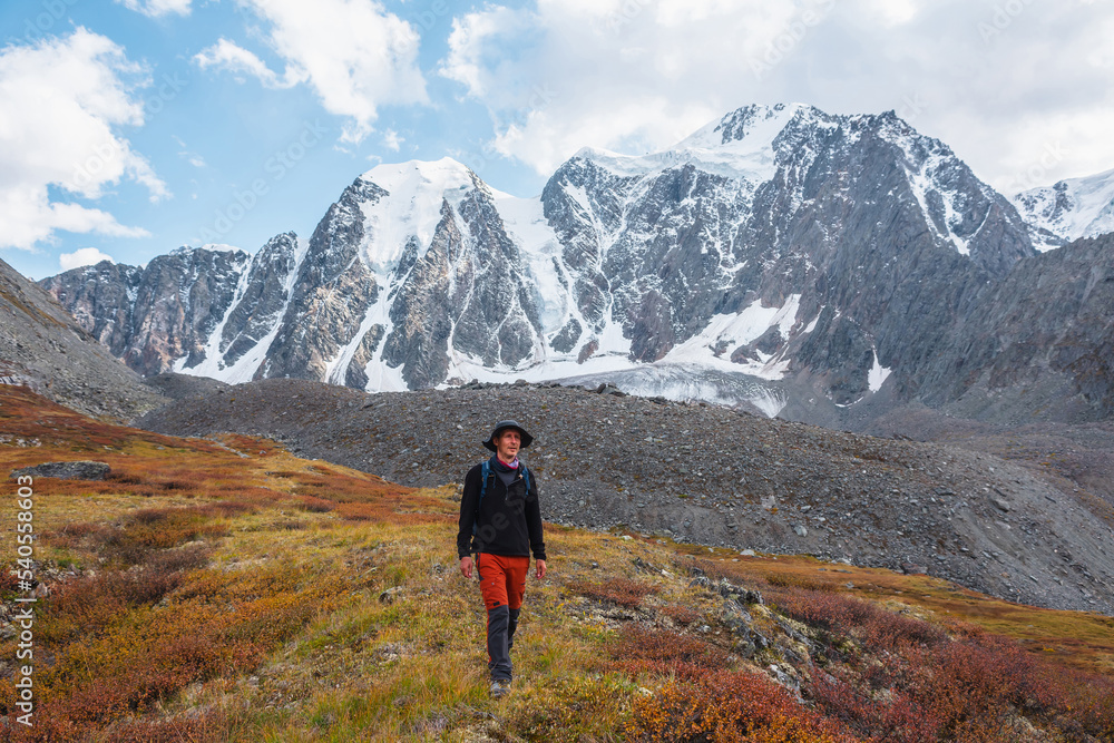 Tourist walks among red thickets on sunlit pass against large snow mountain range in autumn sunny day. Vivid autumn colors in high mountains. Motley shrubs with view to snowy mountains in bright sun.