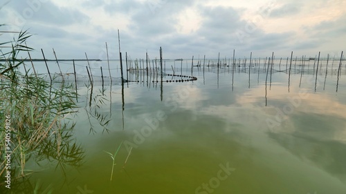 fotografia del lago de la albufera de valencia con vistas de las artes de pesca tradicionales 
