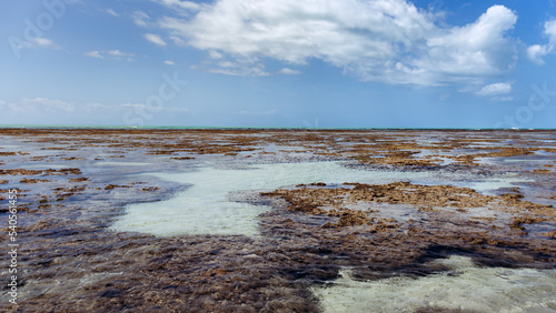 Recife de corais com lagoas naturais em um mar sem ondas, azul claro turquesa e águas transparentes photo