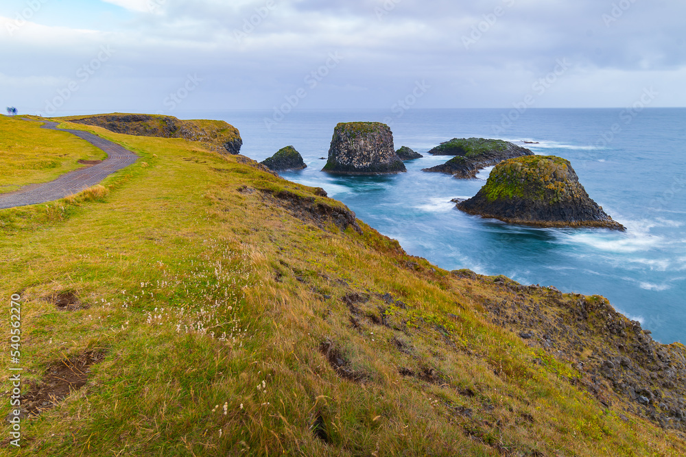 Landscape of the Arnastapi cliffs (Iceland)