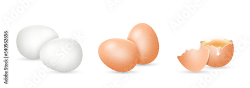 Egg whole and cracked realistic. White and brown chicken eggs and broken shell element